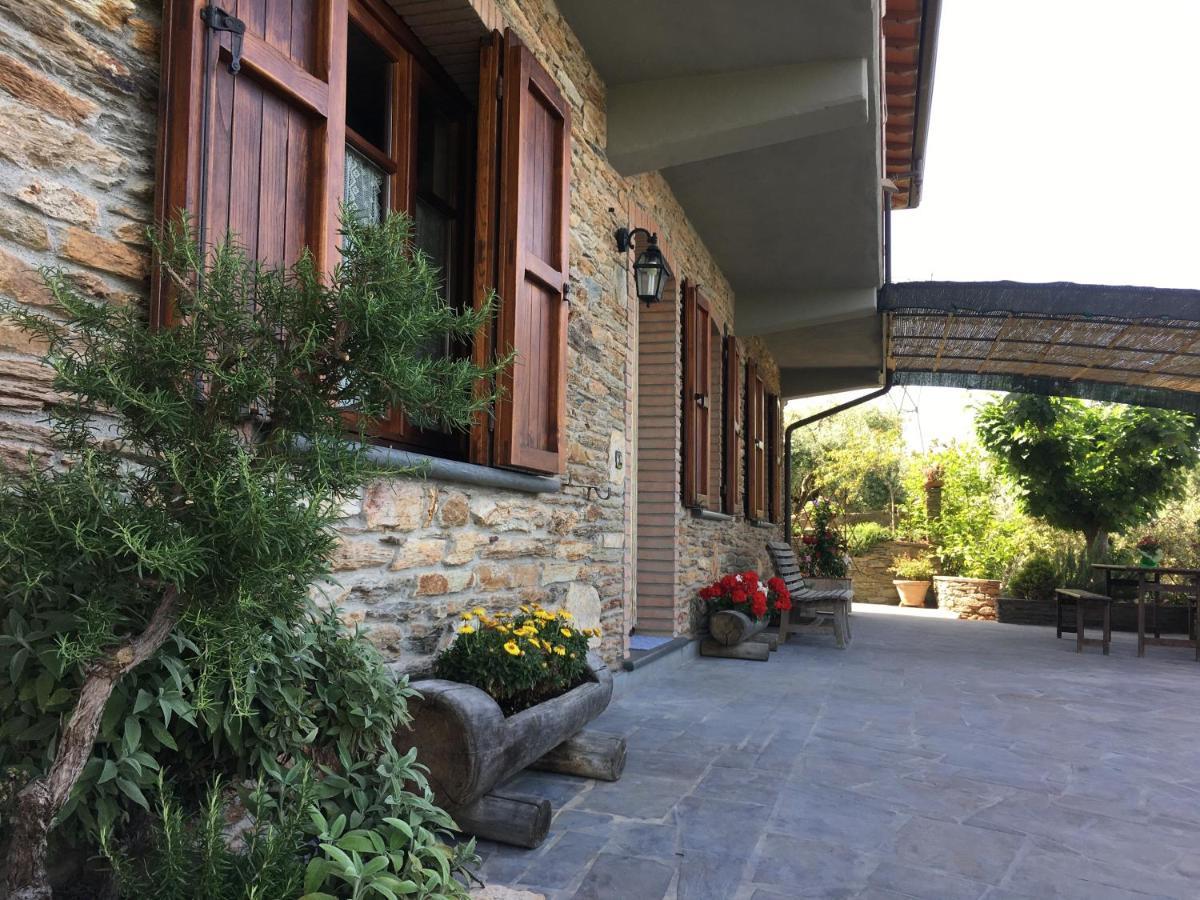 Gelsomini Villa Massa  Bagian luar foto