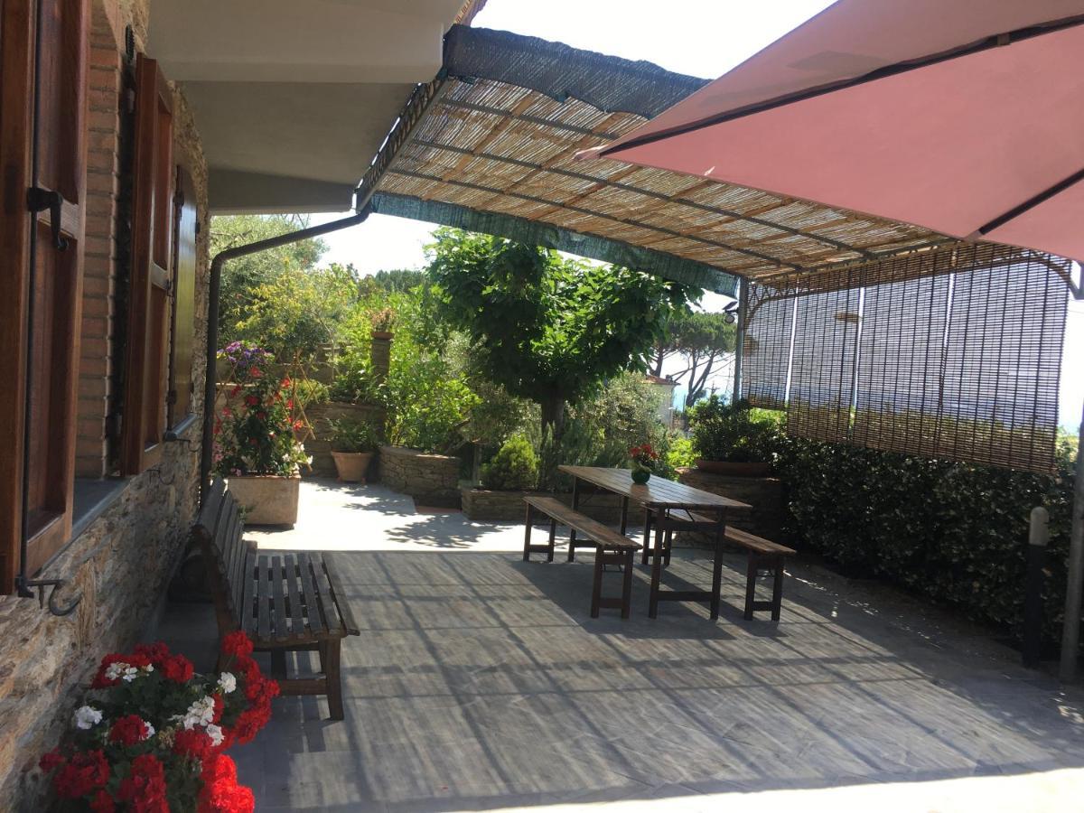 Gelsomini Villa Massa  Bagian luar foto