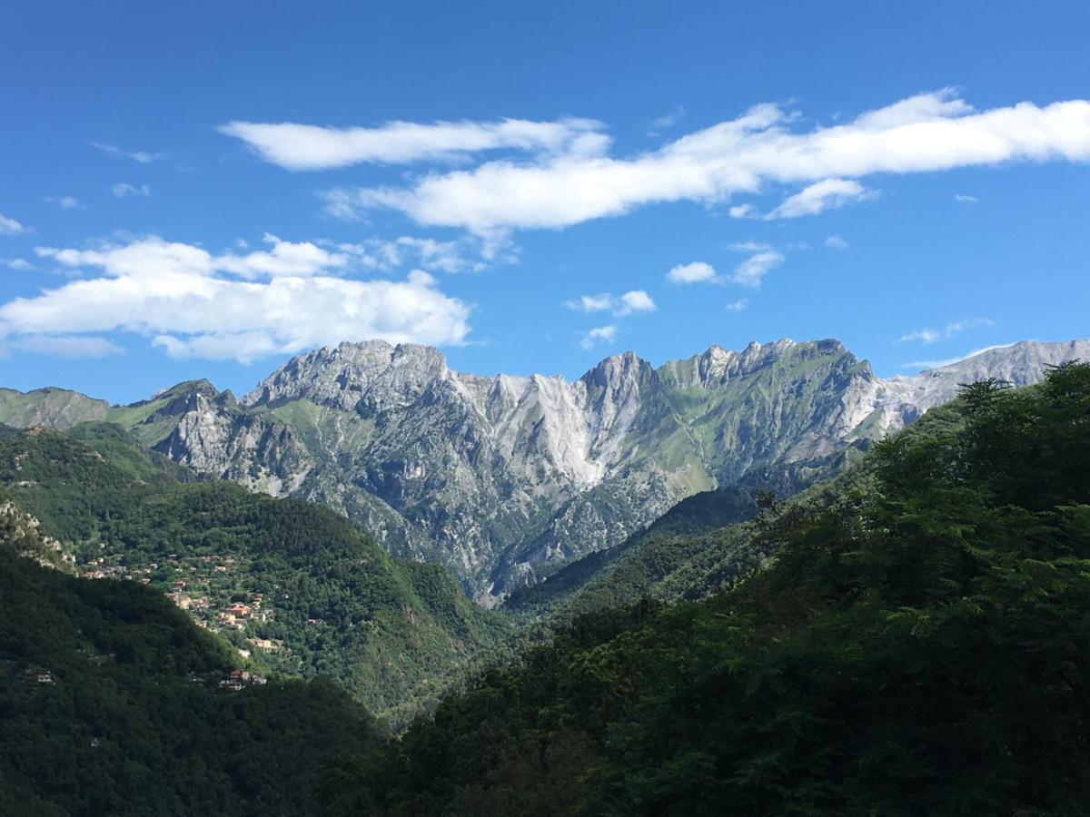 Gelsomini Villa Massa  Bagian luar foto